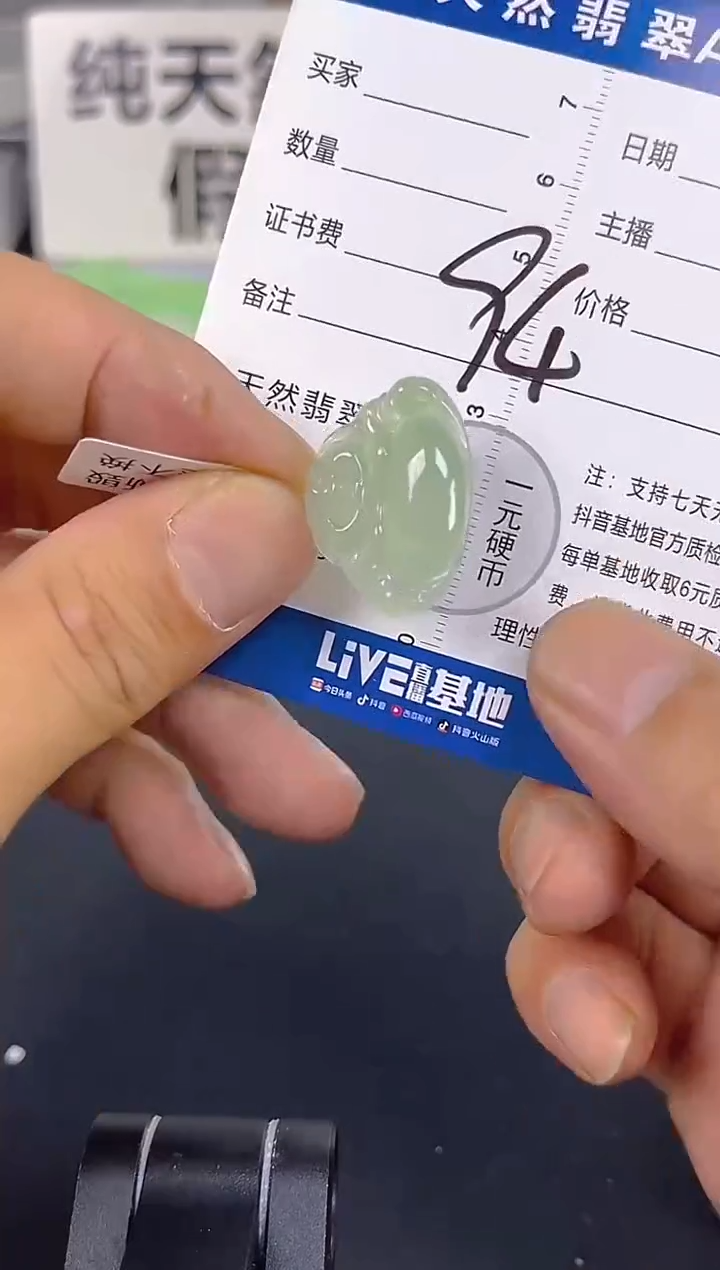 颈饰未镶嵌翡翠是