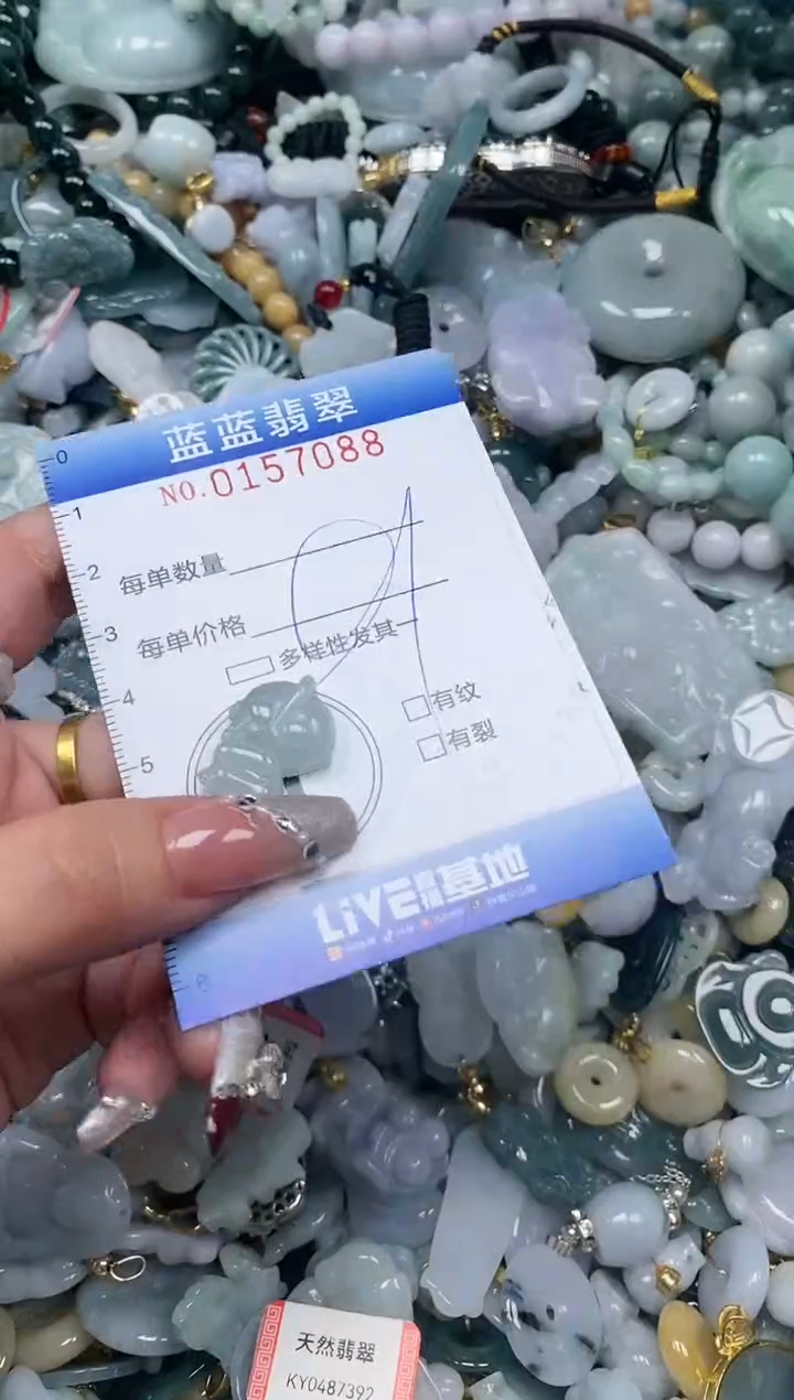 【闪购商品】翡翠颈饰未镶嵌闪购0157088