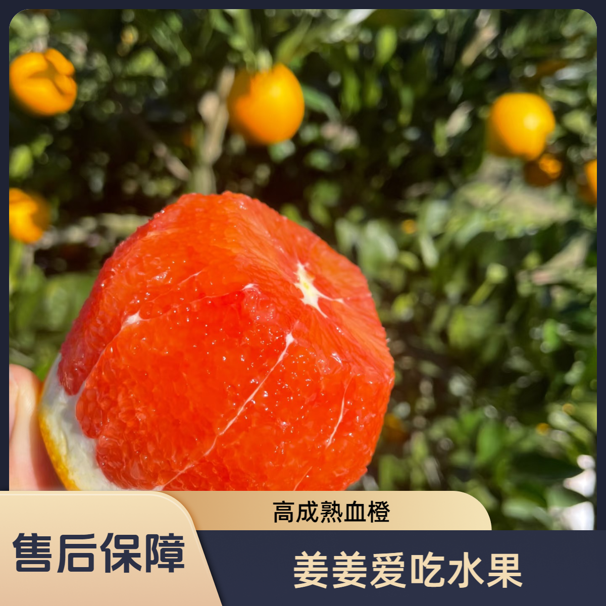 【血橙】蜜匠人血橙 富含花青素 香甜多汁 净重4.9斤