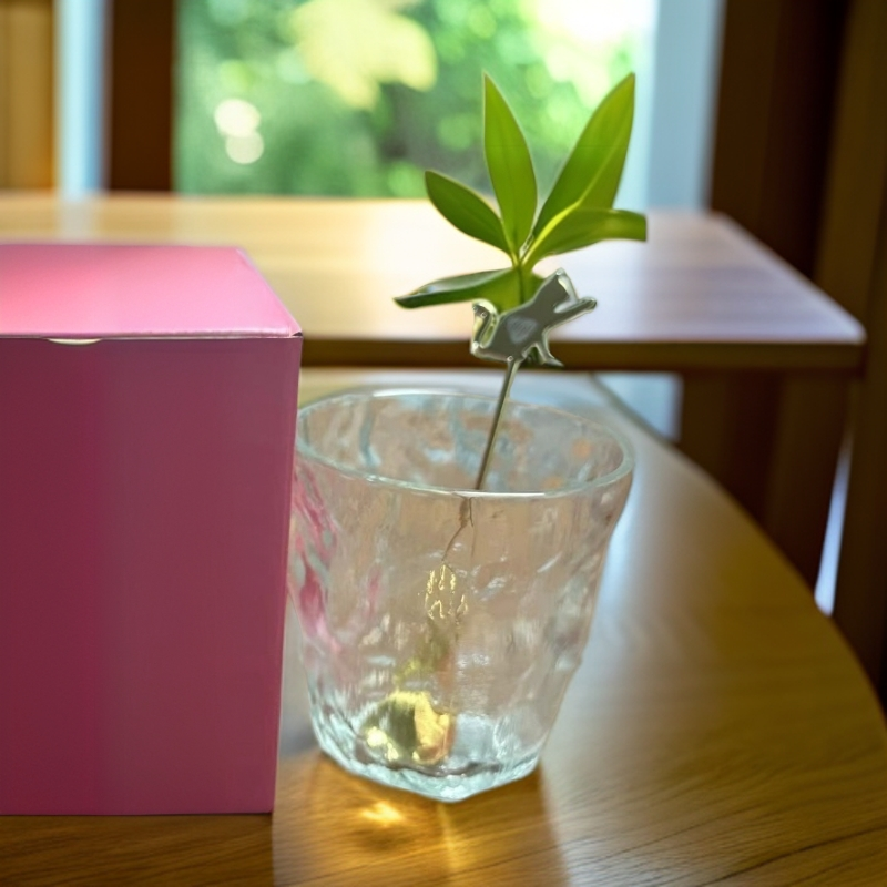 高颜值水杯冰川杯