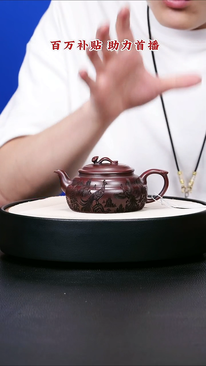 茶壶紫砂宜兴紫砂24