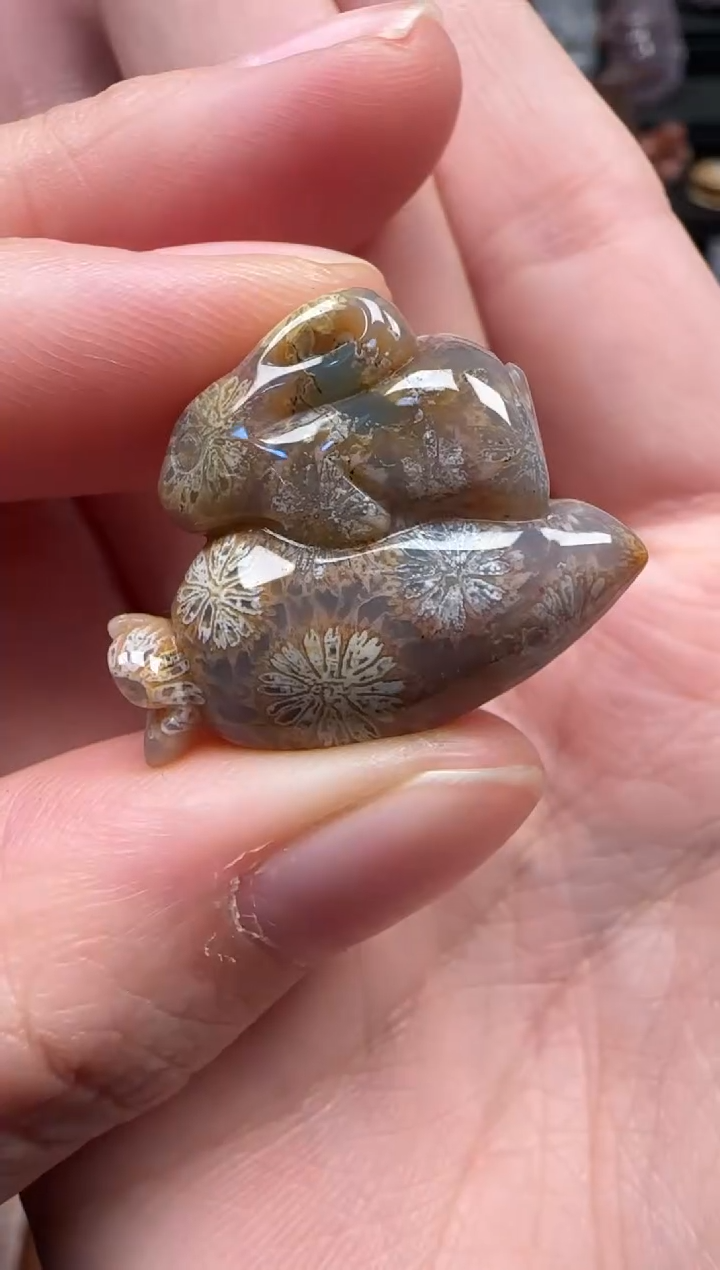 颈饰未镶嵌硅化珊瑚（珊瑚玉）122