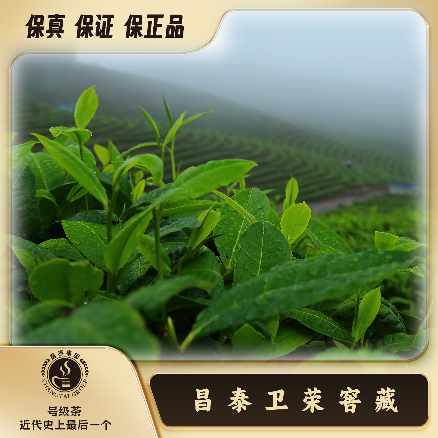 【昌泰卫荣】阿泽 2009年攸乐  通用链接 357g 普洱茶 饼茶 生茶