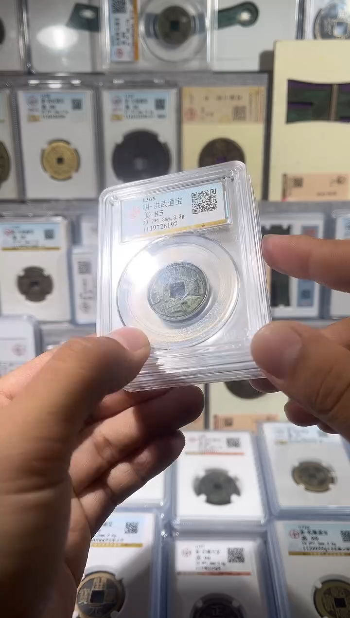 铜齐泉 洪武通宝  85