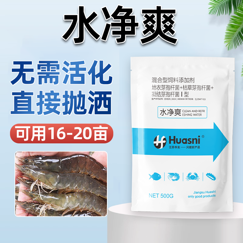 一袋16亩水净爽芽孢高浓缩活菌调水稳水免红糖免激活直抛省心z商品图