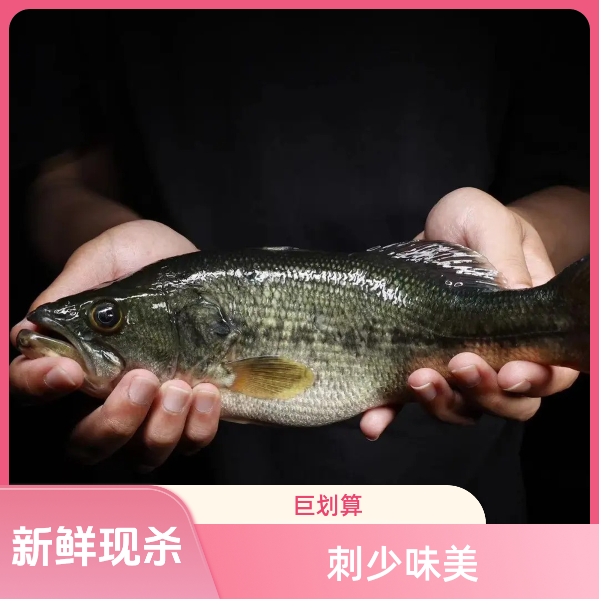 鲈鱼1/条约（600-650g)