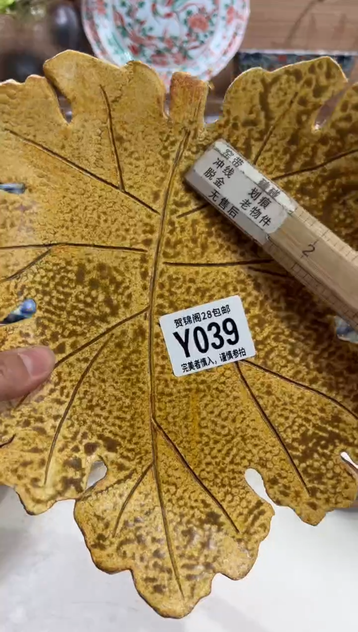 瓷片季*      Y039