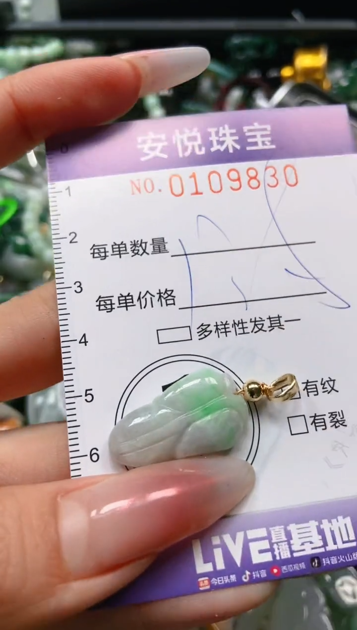 【闪购商品】翡翠颈饰未镶嵌闪购0109830