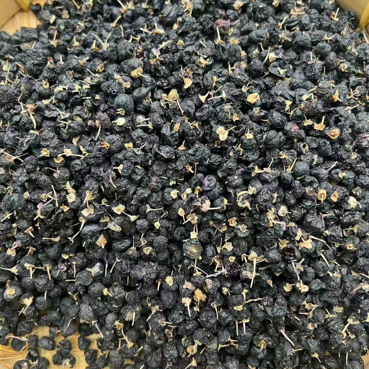 黑枸杞-云南小莫