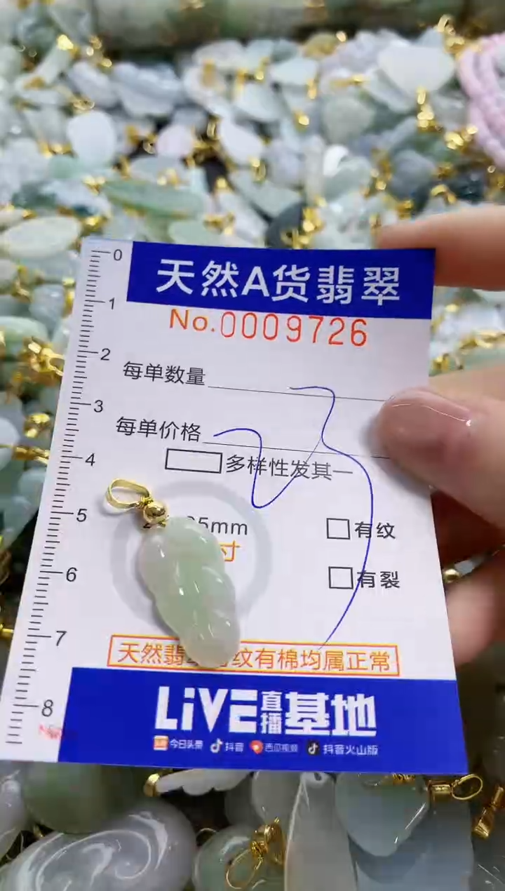 颈饰未镶嵌翡翠天然A货翡翠