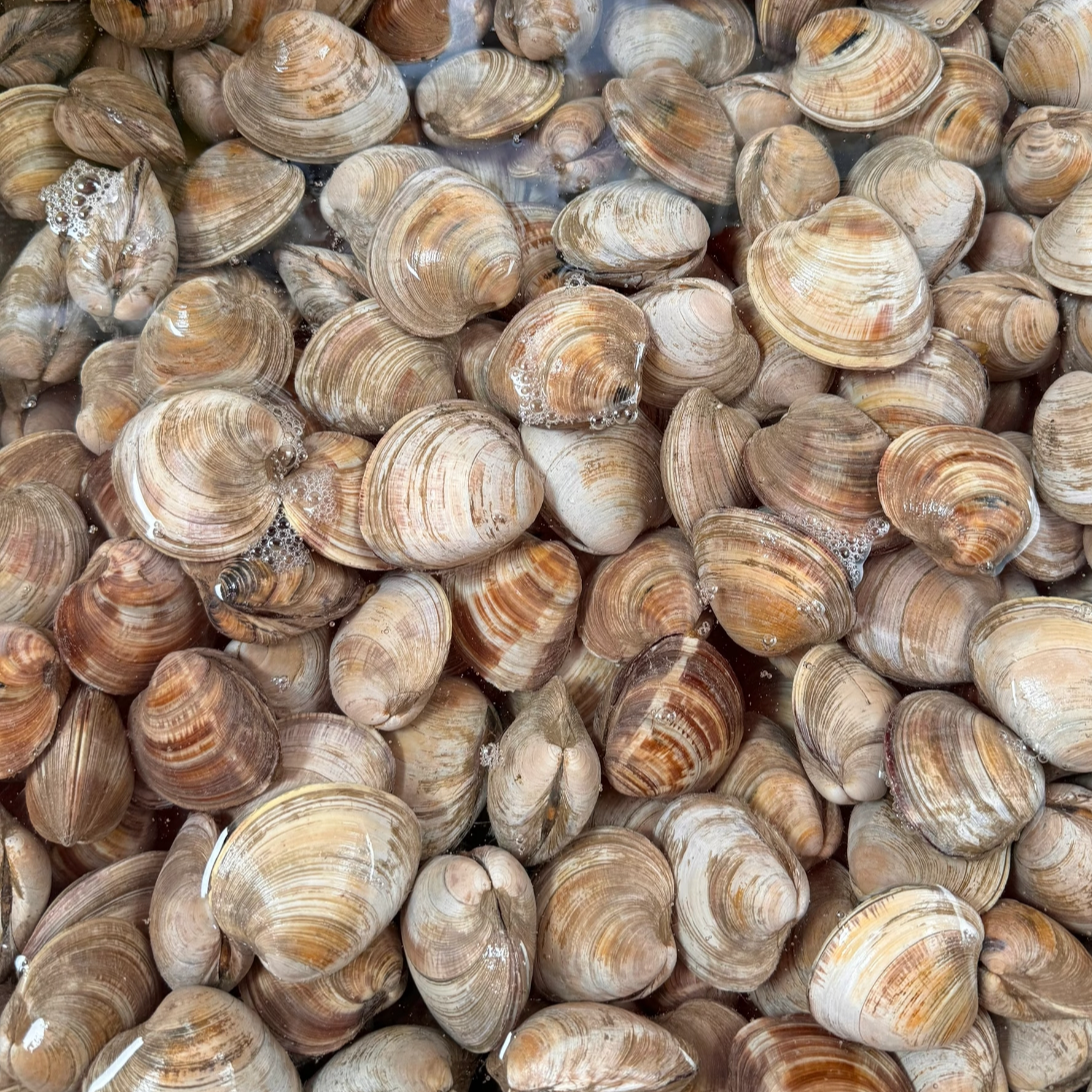 美贝（500g）小时达