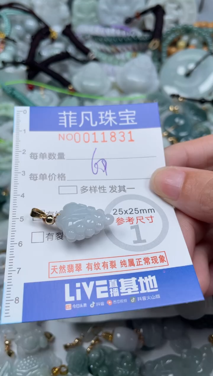 颈饰未镶嵌翡翠11831
