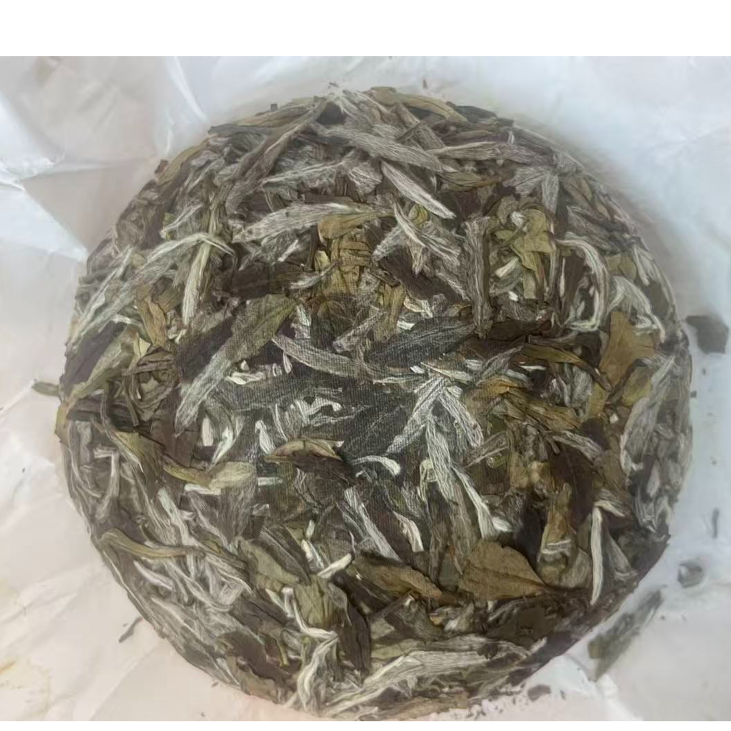 丹心 2019 白牡丹