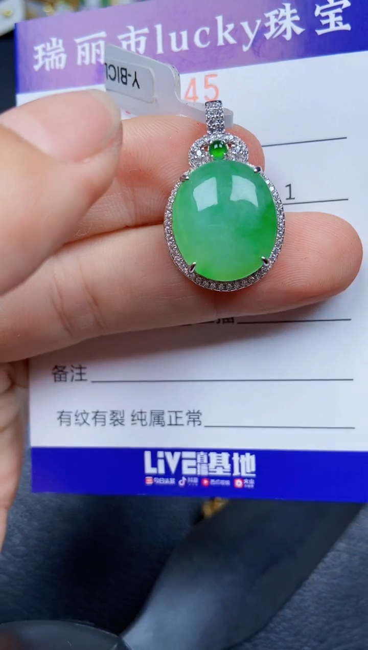 【闪购商品】翡翠颈饰银S925镶嵌8245