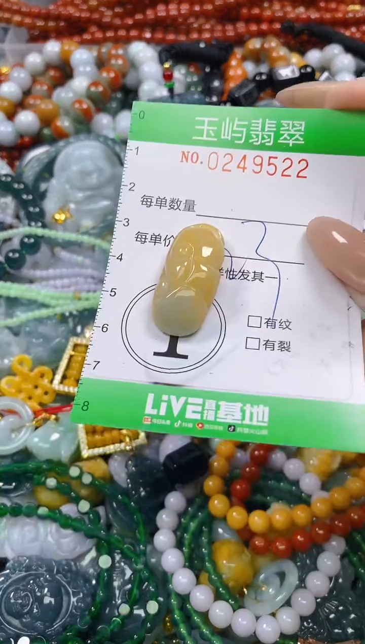 颈饰未镶嵌翡翠闪购0249522