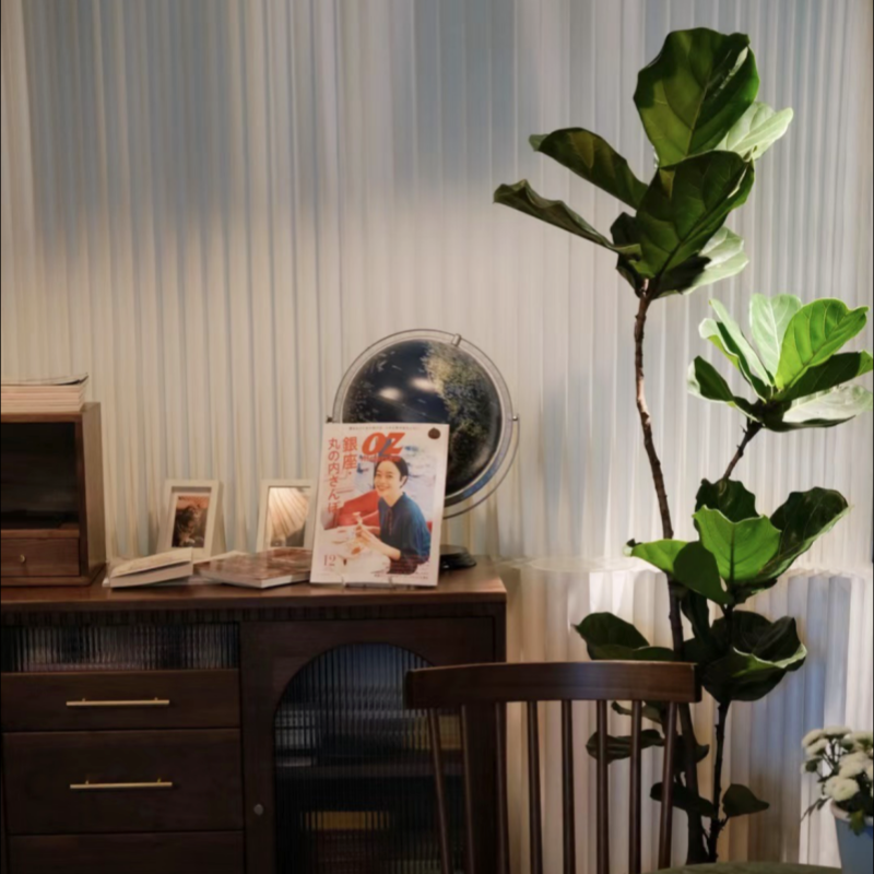 琴叶榕网红盆栽室内净化空气新房吸甲醛北欧风大叶植物大型绿植2