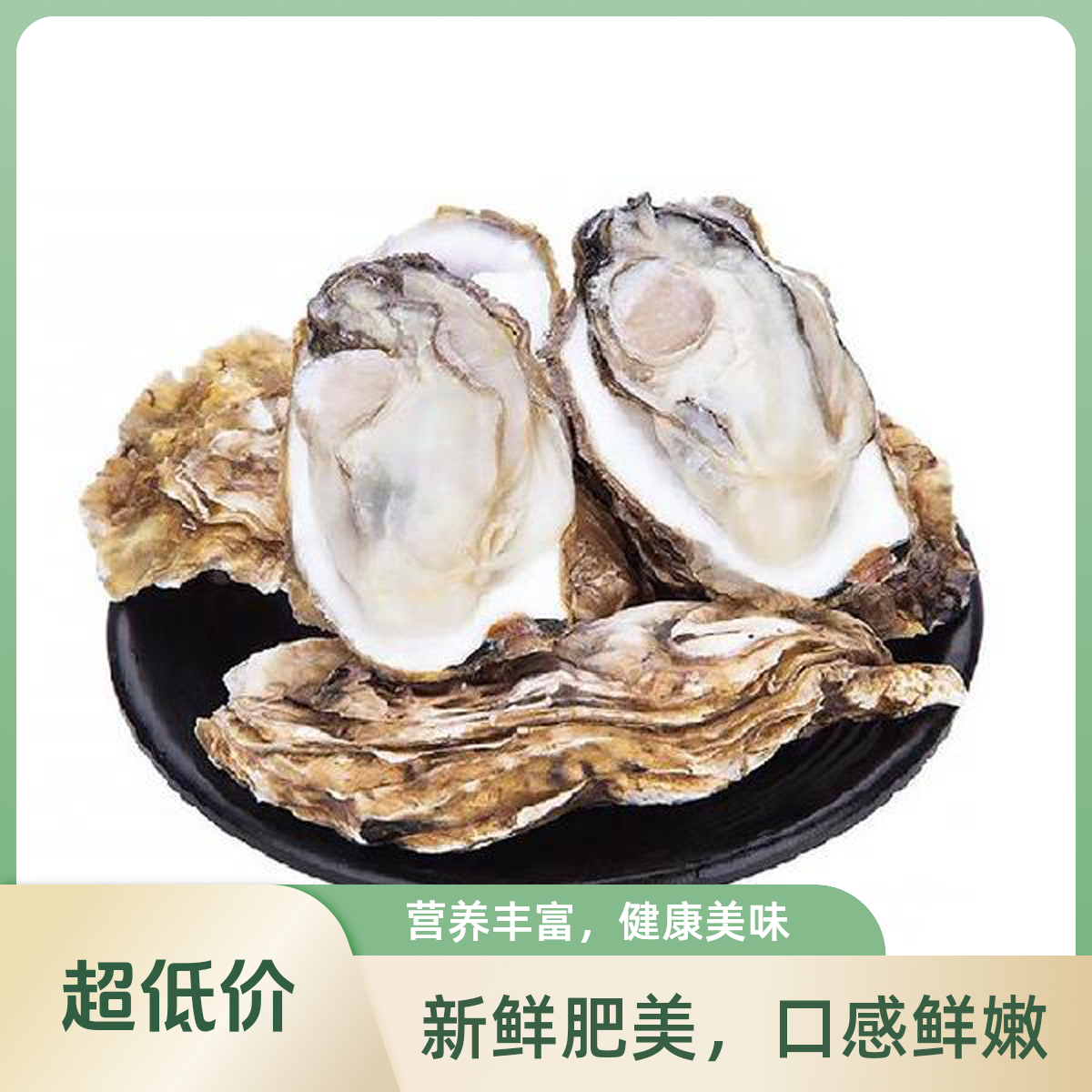 2.0乳山生蚝（一个）