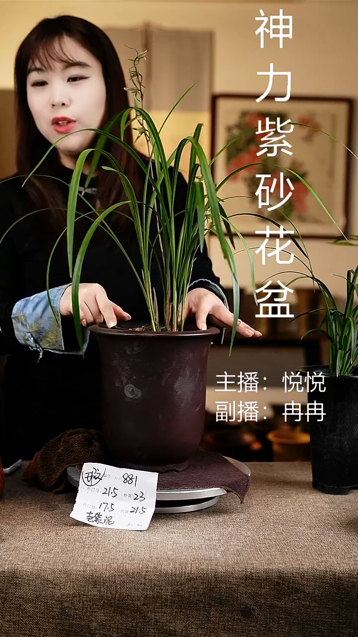 紫砂花盆花卉工艺881微瑕