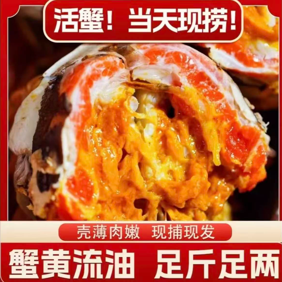 【活蟹】江苏鲜活河蟹 公蟹3·0-2·7两 买6只送2只到手8只z
