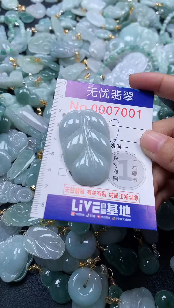 颈饰未镶嵌翡翠7001