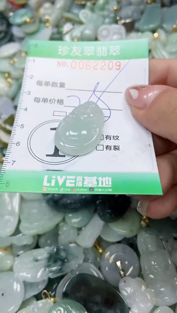 【闪购商品】翡翠颈饰未镶嵌闪购0062209