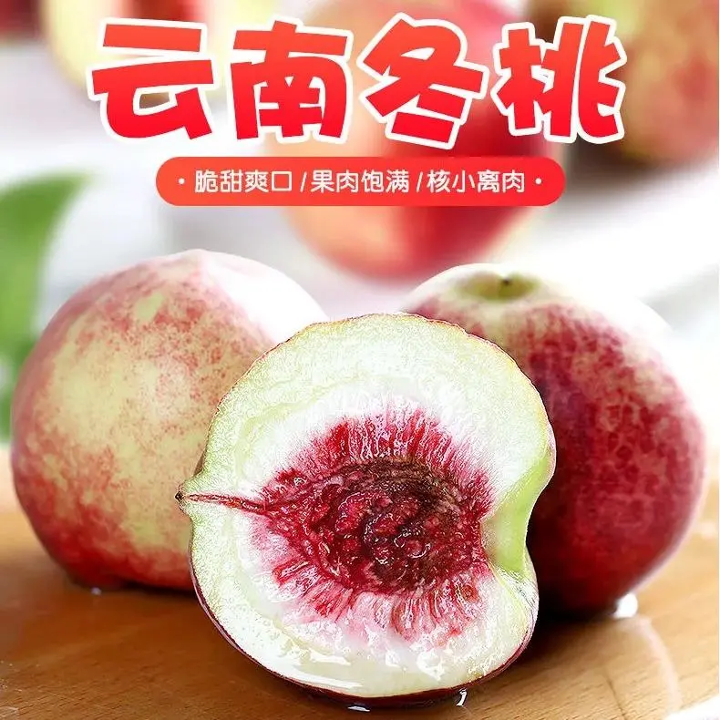 [云南大理]高山20年老树冬桃现摘现发脆冬桃脆甜桃子新鲜应季水果