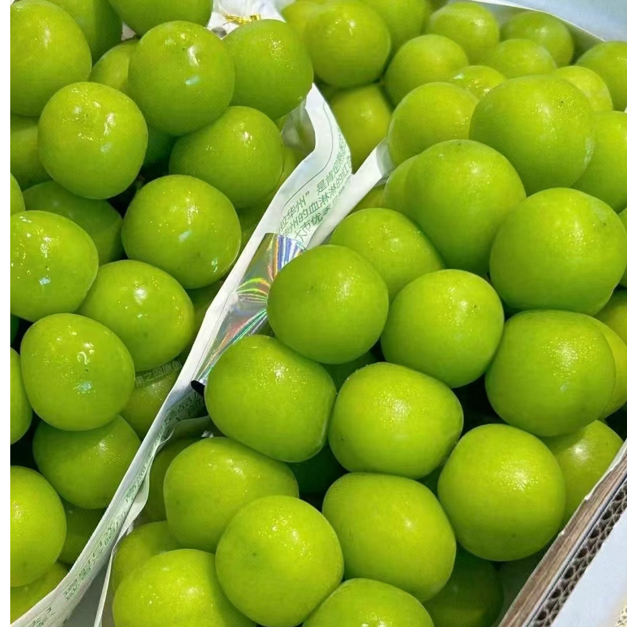 【绿野大叔】西域天香脆甜爽口葡萄无核3斤原箱礼盒-顺丰