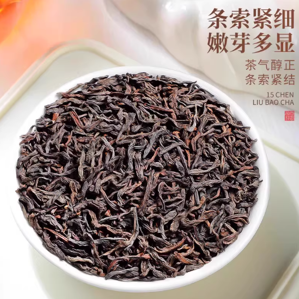 广西梧州陈香六堡茶