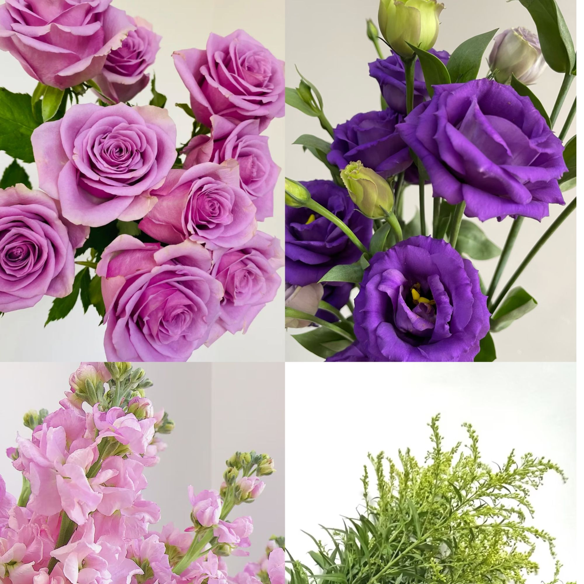 紫气东来花束【紫玫10支+紫桔梗400克+粉色紫罗兰3支+配草】3单送草