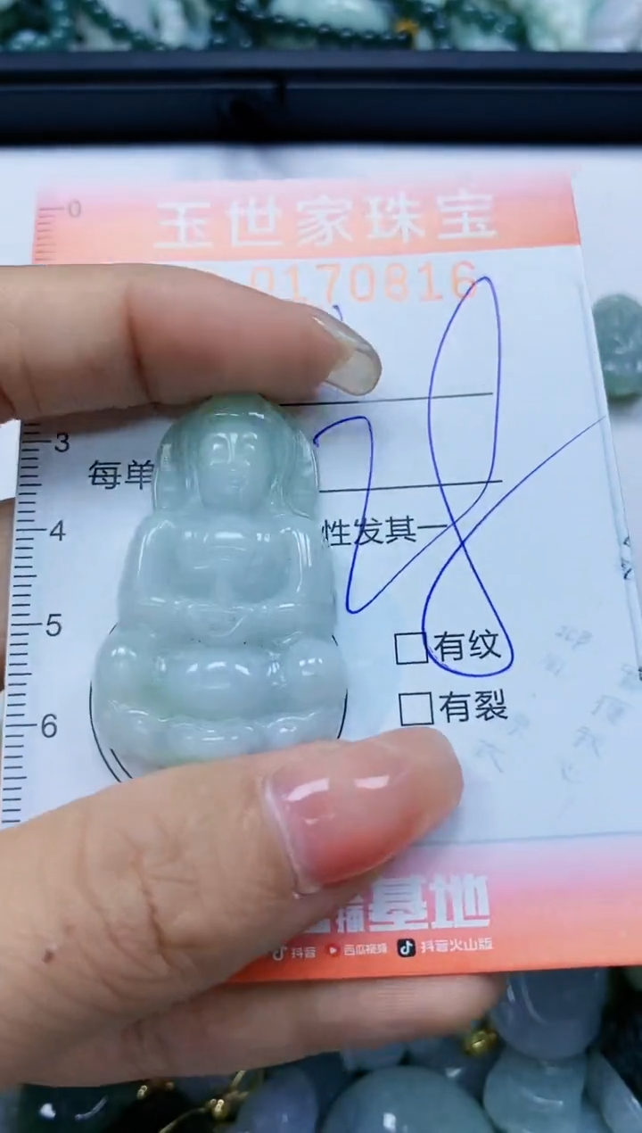 【闪购商品】翡翠颈饰未镶嵌闪购0170816