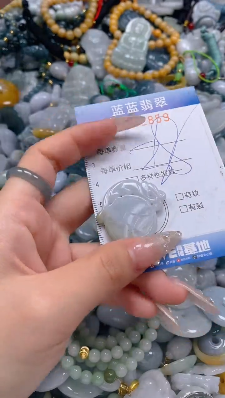 翡翠未镶嵌颈饰闪购0262859多样性发其一