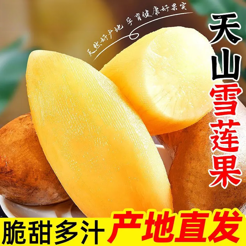 云南天山雪莲果应季水果新鲜现挖甜脆多汁产地果农现挖现发商品图