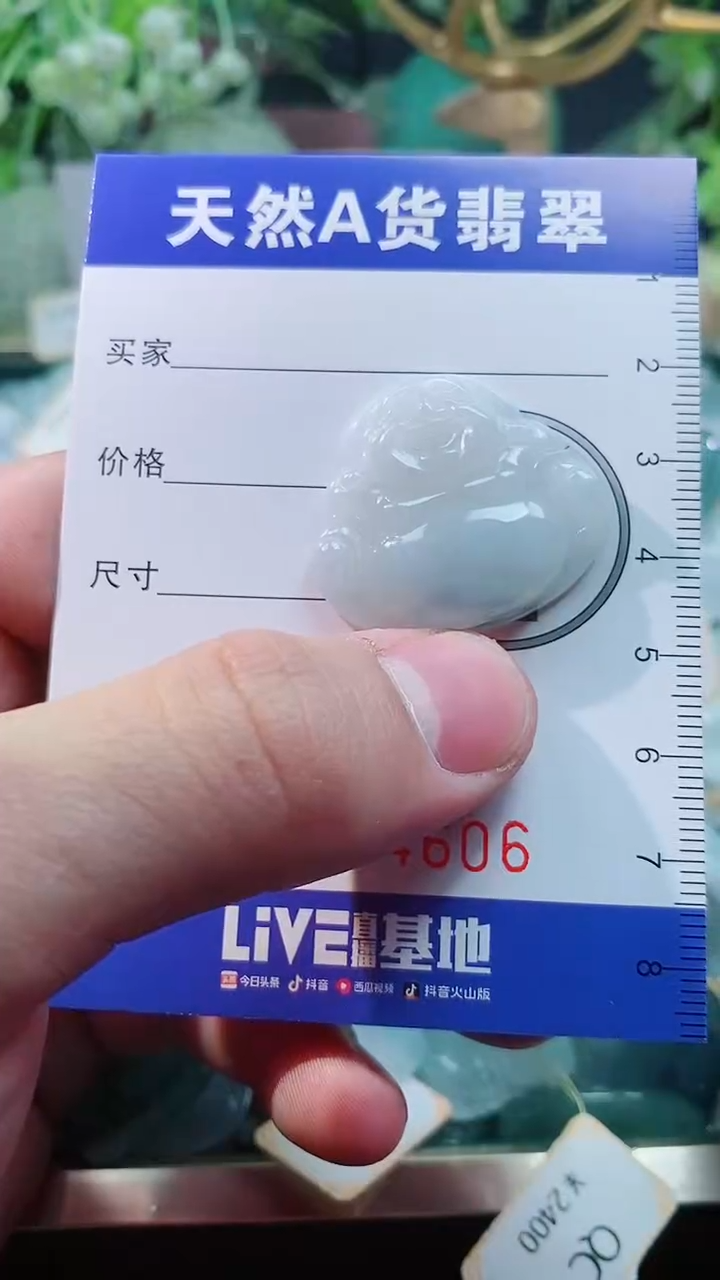 【闪购商品】翡翠颈饰未镶嵌天然A货翡翠一件