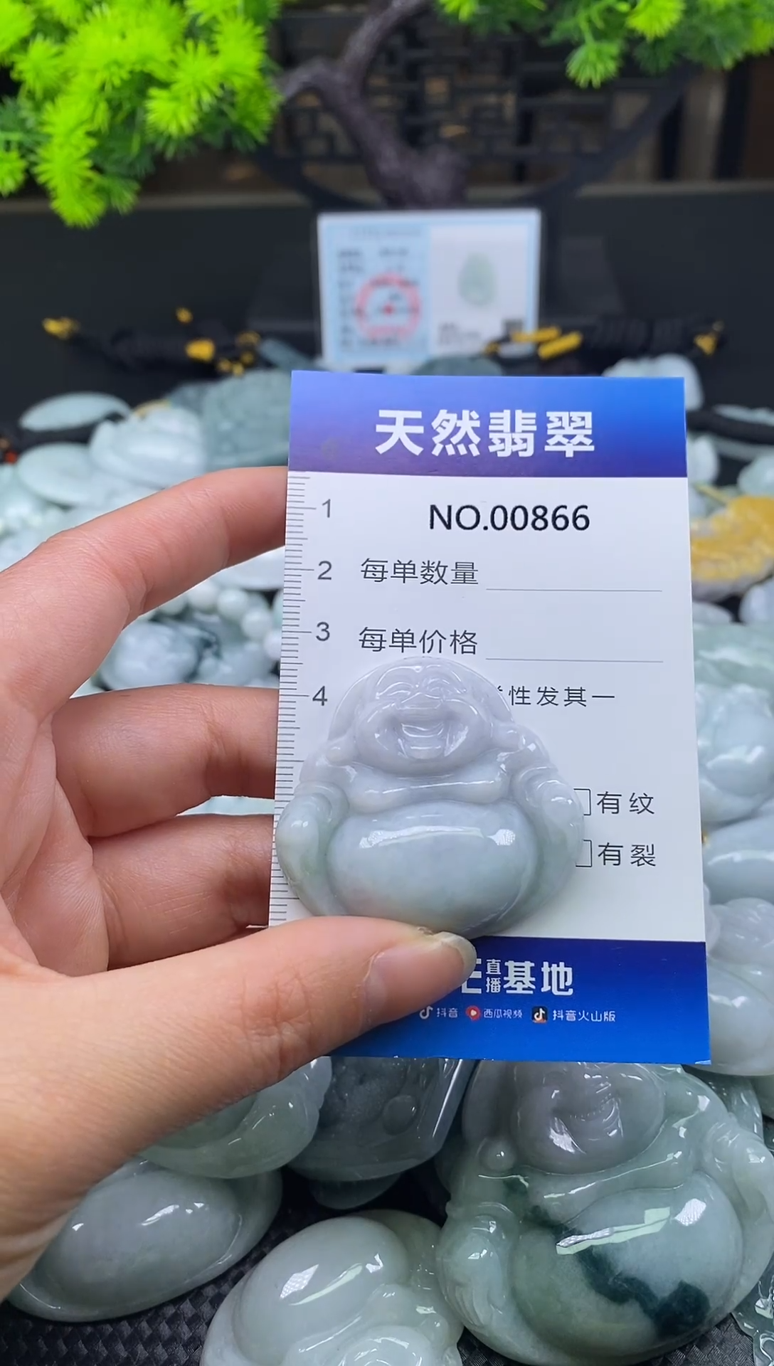 颈饰未镶嵌翡翠天然缅甸翡翠866