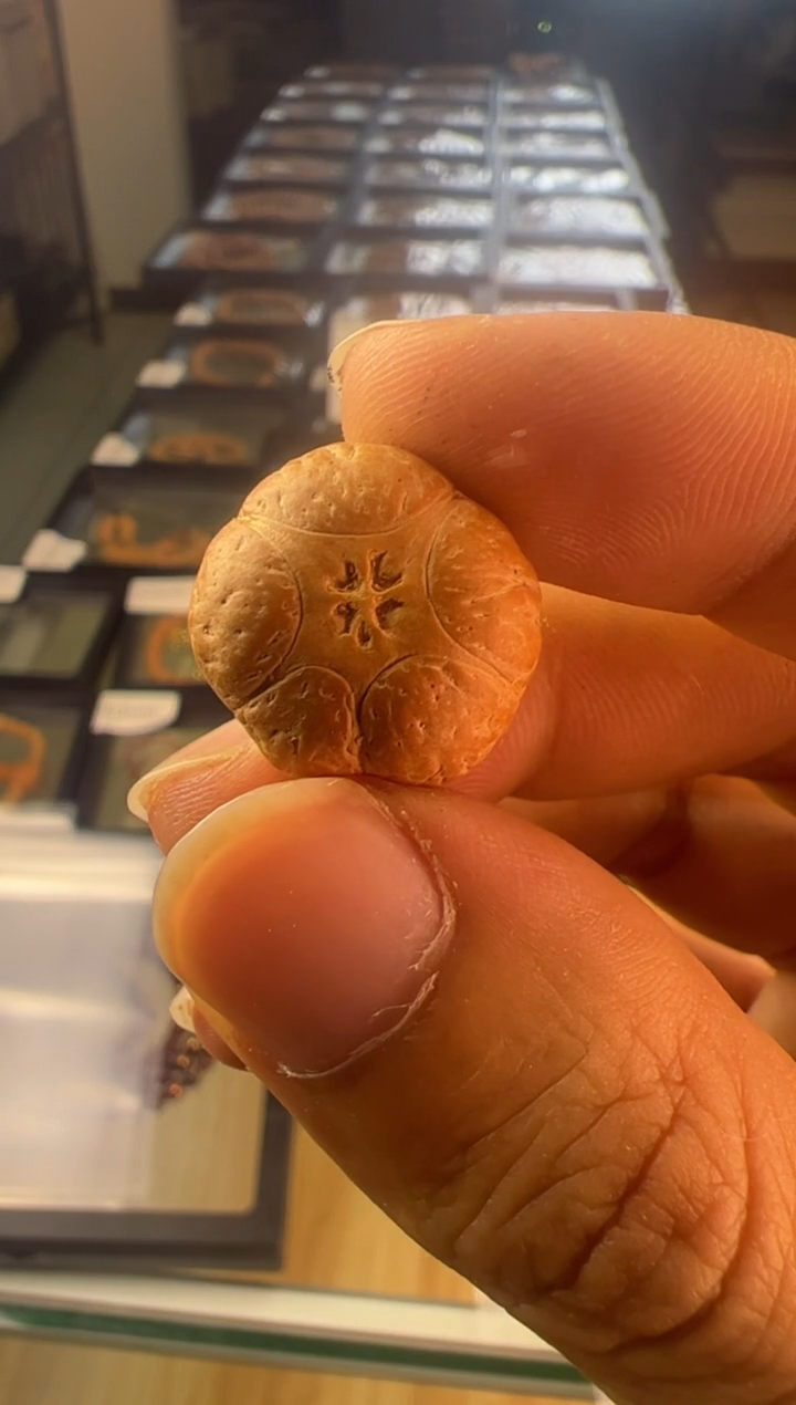 手串凤眼菩提3829