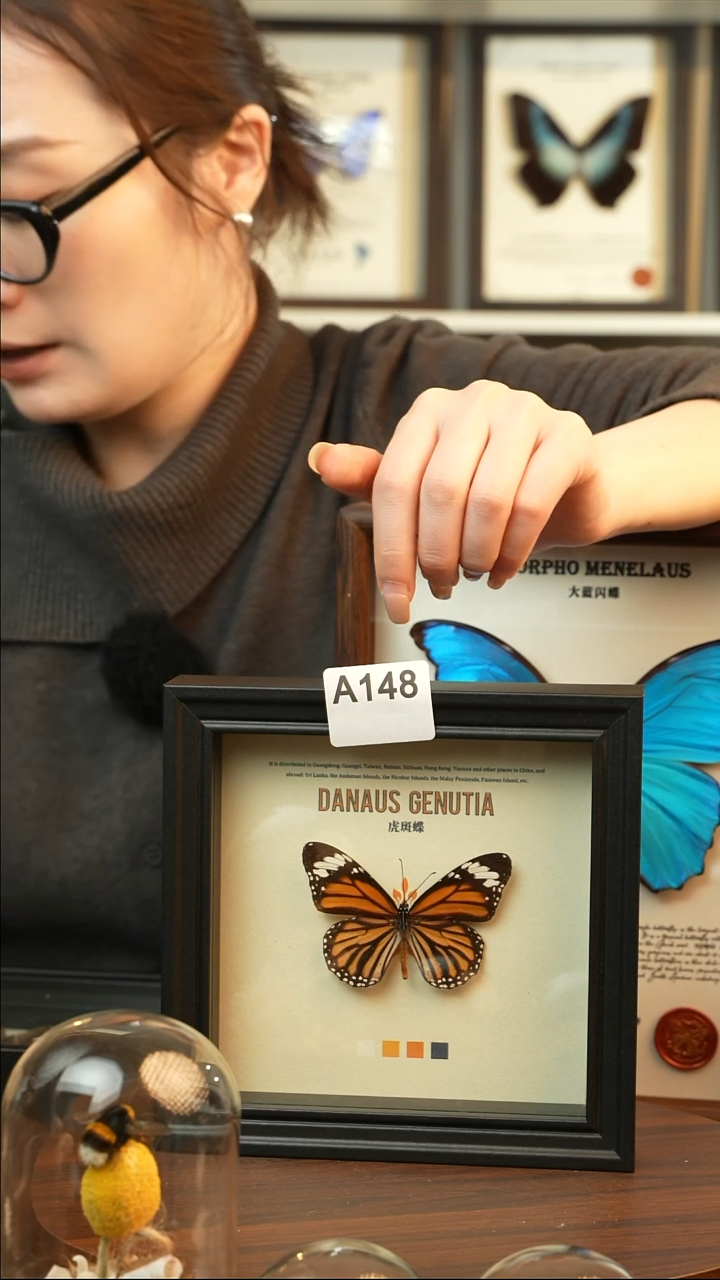 虎斑蝶（6寸方黑色新款框）A148