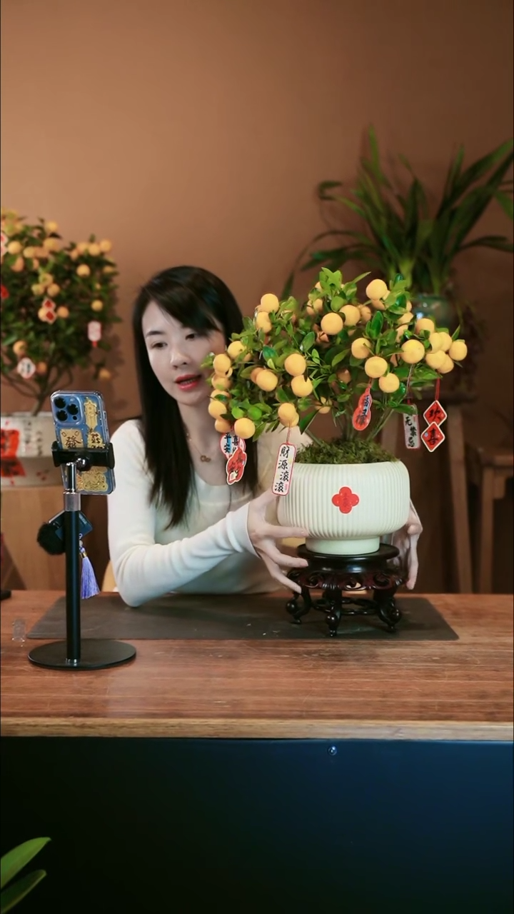 【闪购商品】盆景小金橘 白