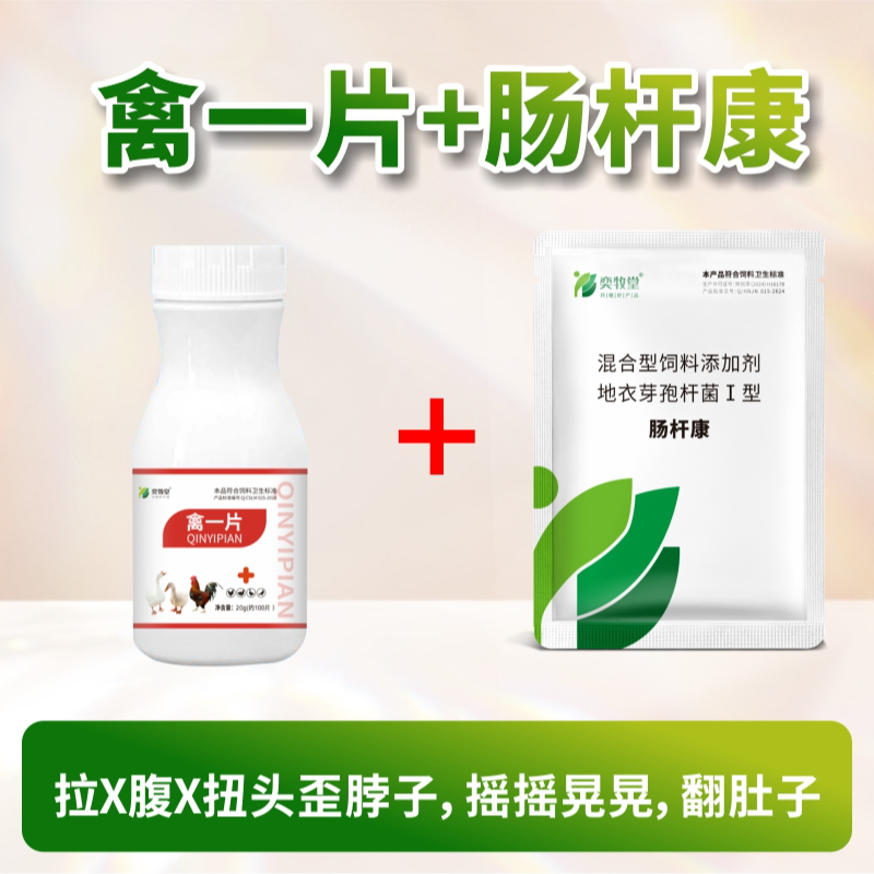 升级加强版解决拉水便绿便趴窝站不起来鸡鸭鹅鸽子鹌鹑通用