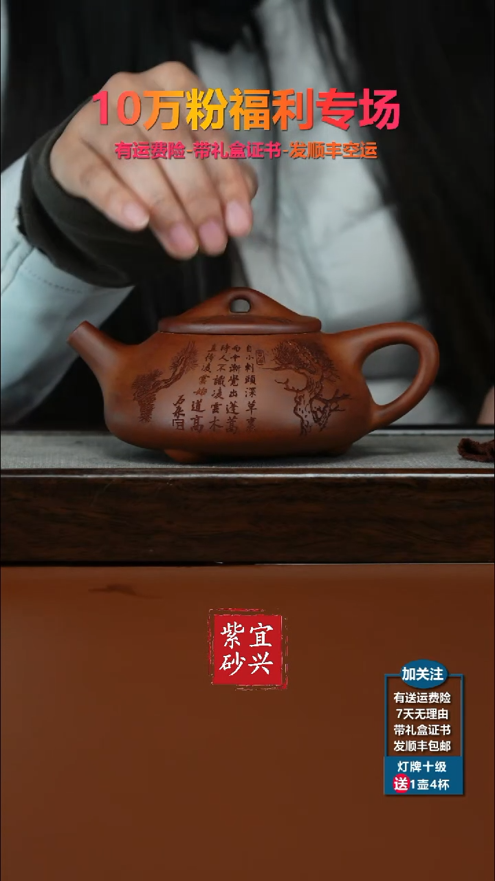 茶壶紫砂蒋静明天星泥松竹景舟石瓢300CC