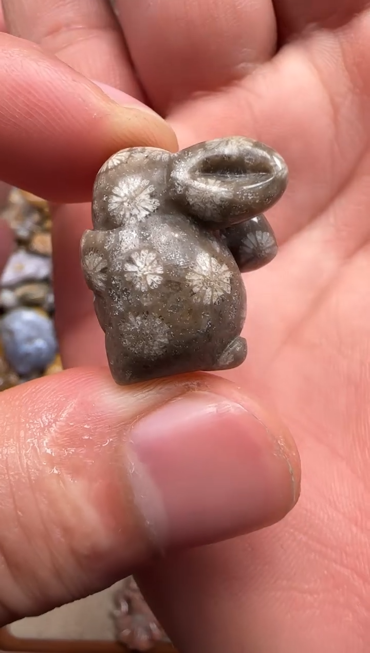 【闪购商品】硅化珊瑚（珊瑚玉）颈饰未镶嵌135