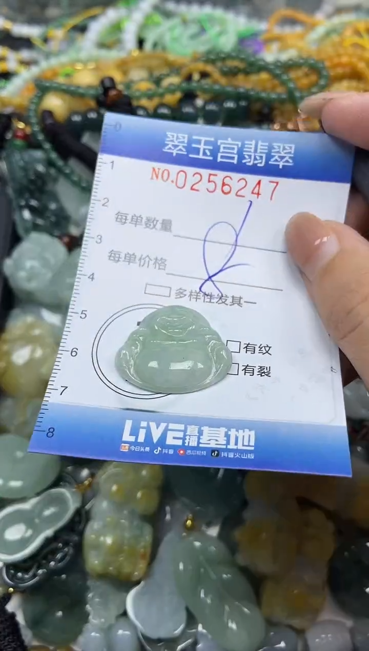 颈饰未镶嵌翡翠闪购C0256247