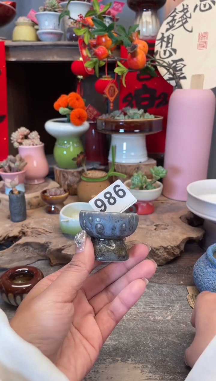 【闪购商品】摆件986知木小芳花盆