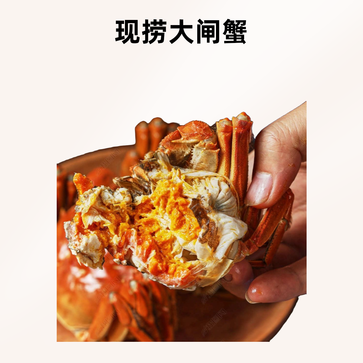 活蟹大闸蟹】 现捕现捞螃蟹全母3.5-3.2两10只