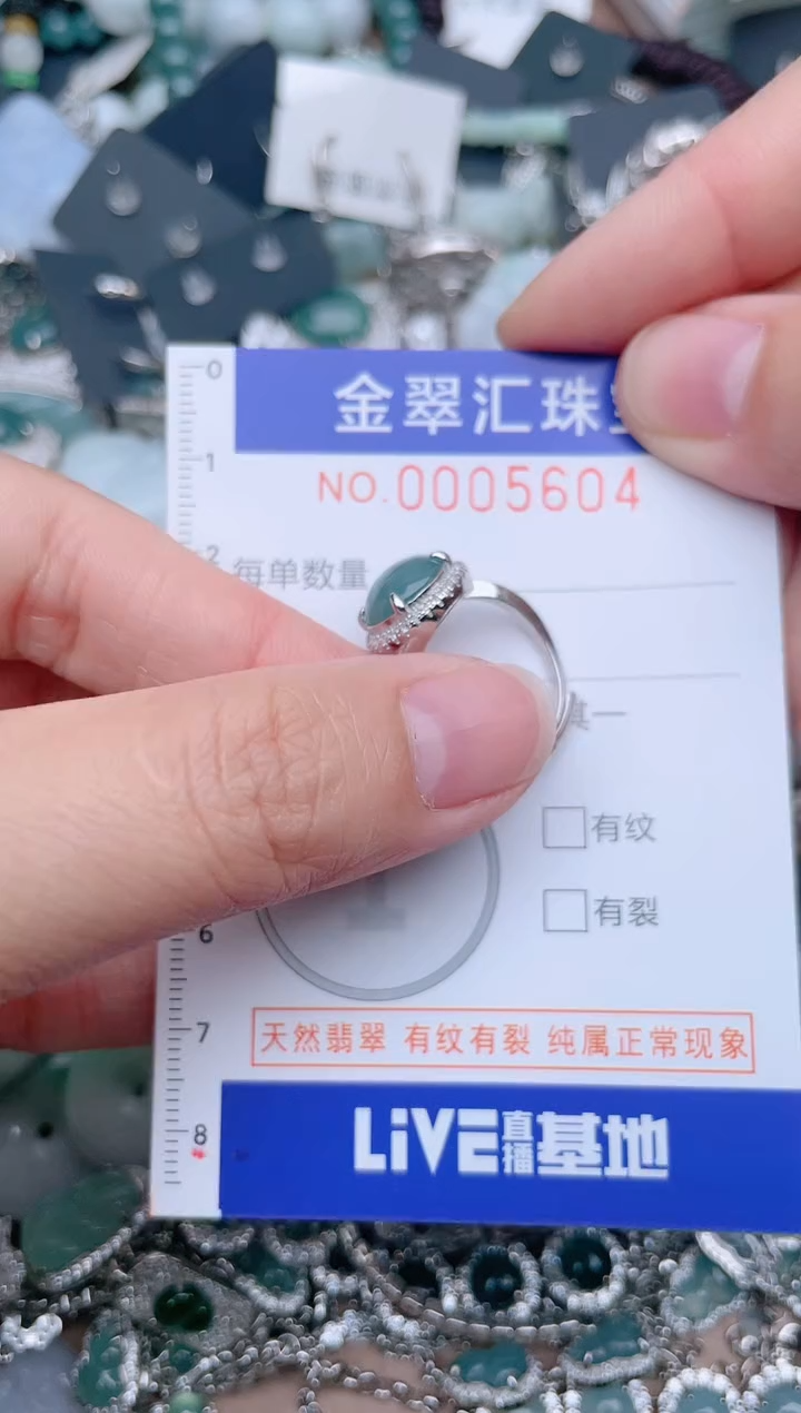 翡翠未镶嵌颈饰5604.....