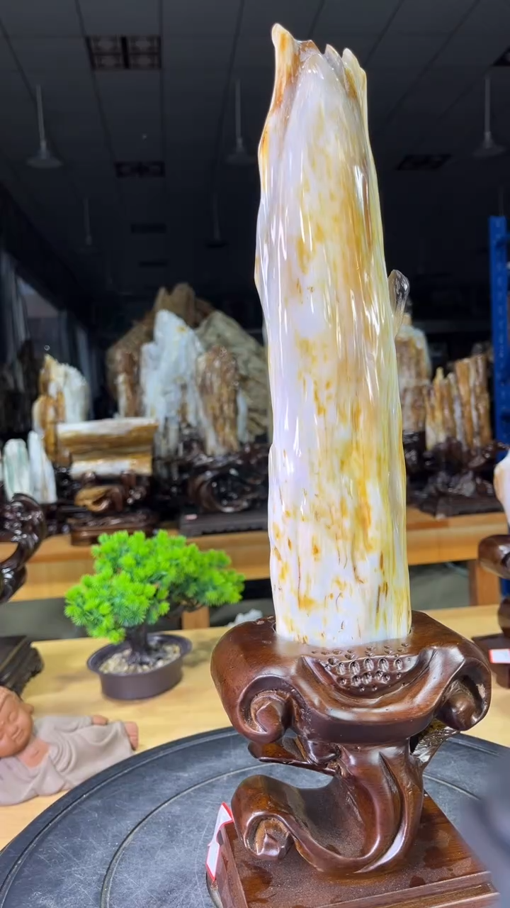 硅化玉珠宝奇石未镶嵌450
