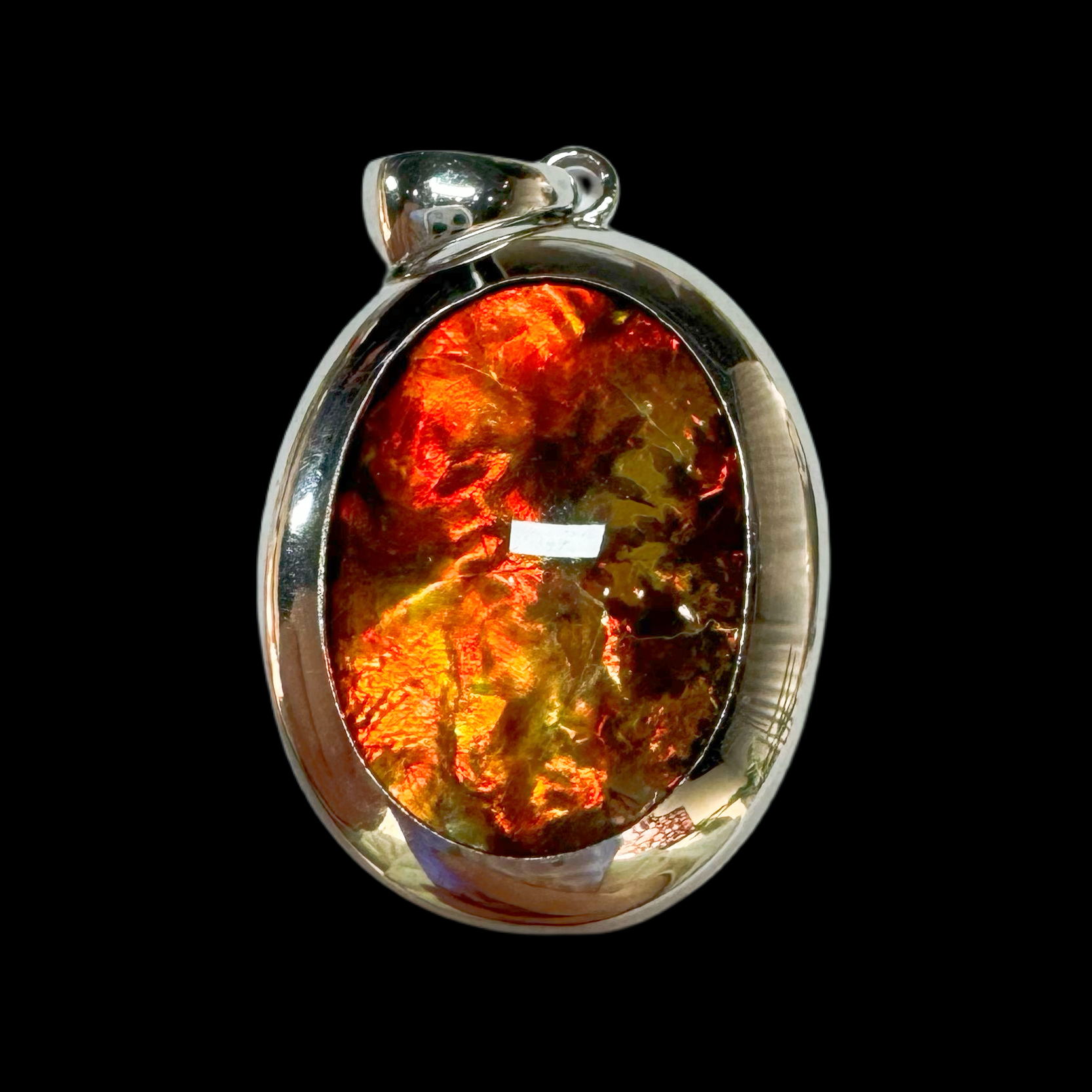  【古贝壳】24mm 稀有 BC 产地：加拿大 P1