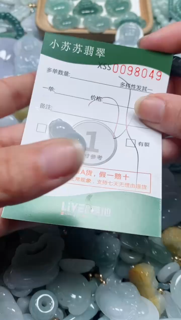 【闪购商品】翡翠颈饰未镶嵌闪购商品0098049