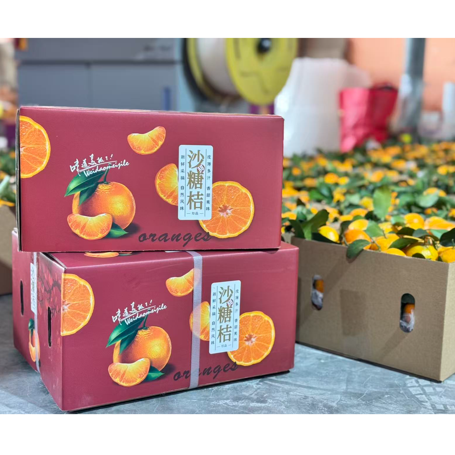 阿欢【发顺丰】正宗广西砂糖桔产地直发自然树熟细腻化渣5/9斤装