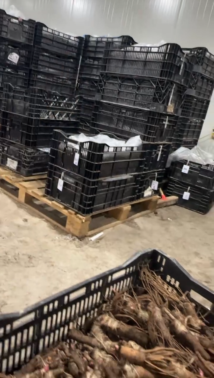 人**梦人生如梦  69  火舞