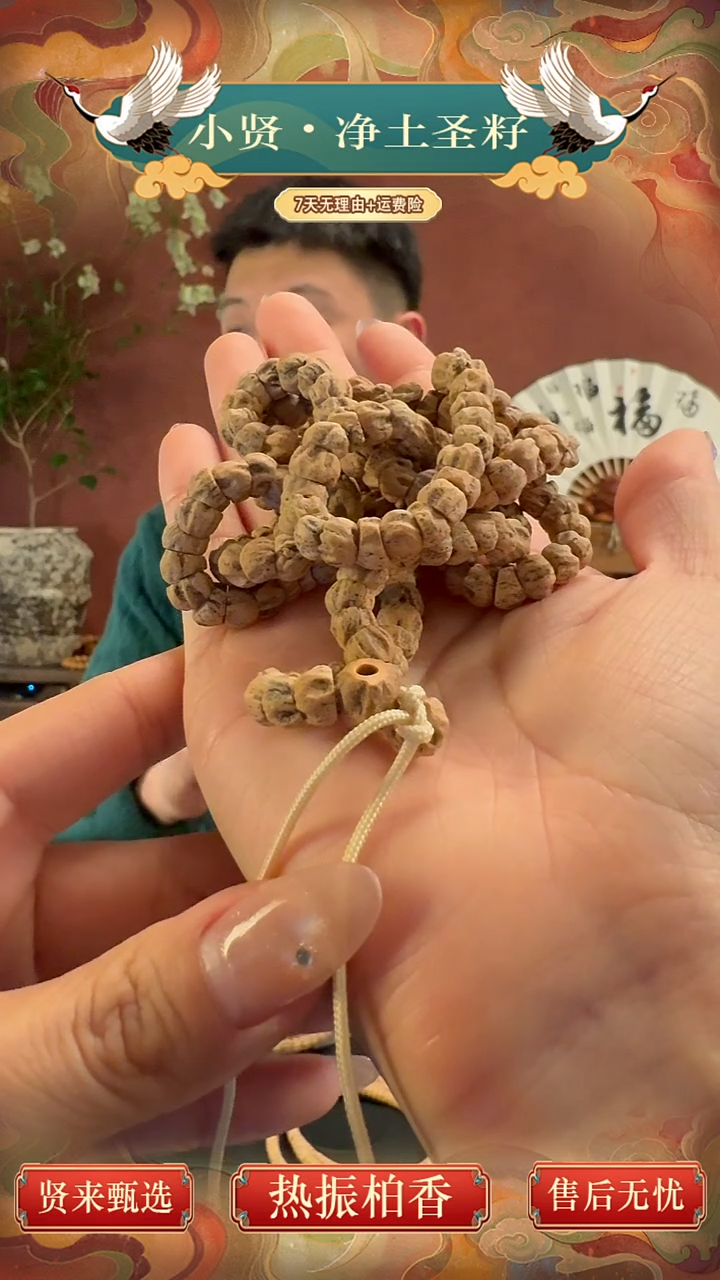 手串柏香籽/百香籽热振百香籽精品大角度几何深坑鬼肠